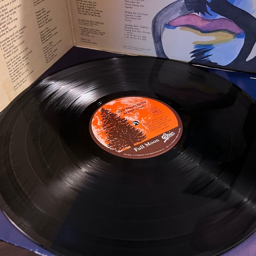 DAN FOGELBERG - Nether Lands (1977) - 12" Vinyl Record LP - EX - Picture 4 of 4