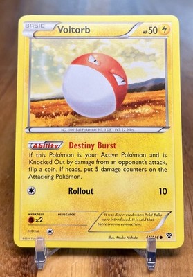 Voltorb 44/146 Common XY Pokemon