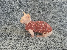 Handmade Sphynx Cat Clothes Cat Clothes Bambino Cat Clothes Sphynx Cat Shirt Cat