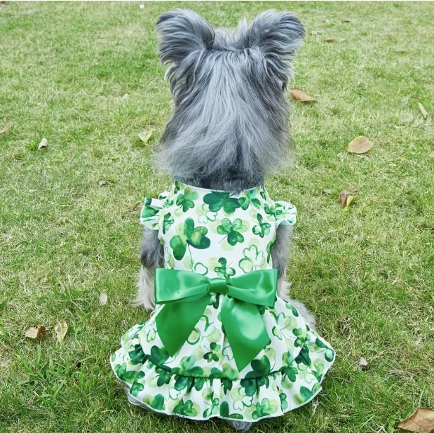 Green Dog Dresses for sale | eBay