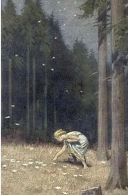 NWT AUBADE TANGA THONG BRIEF BLACK Lace sz XS