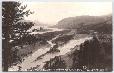 Vintage View from Crown Point Columbia Highway Oregon Postcard #265