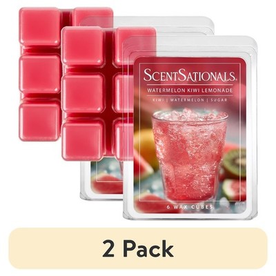 Watermelon Kiwi Lemonade Scented Wax Melts 2-Pack 2.5 oz