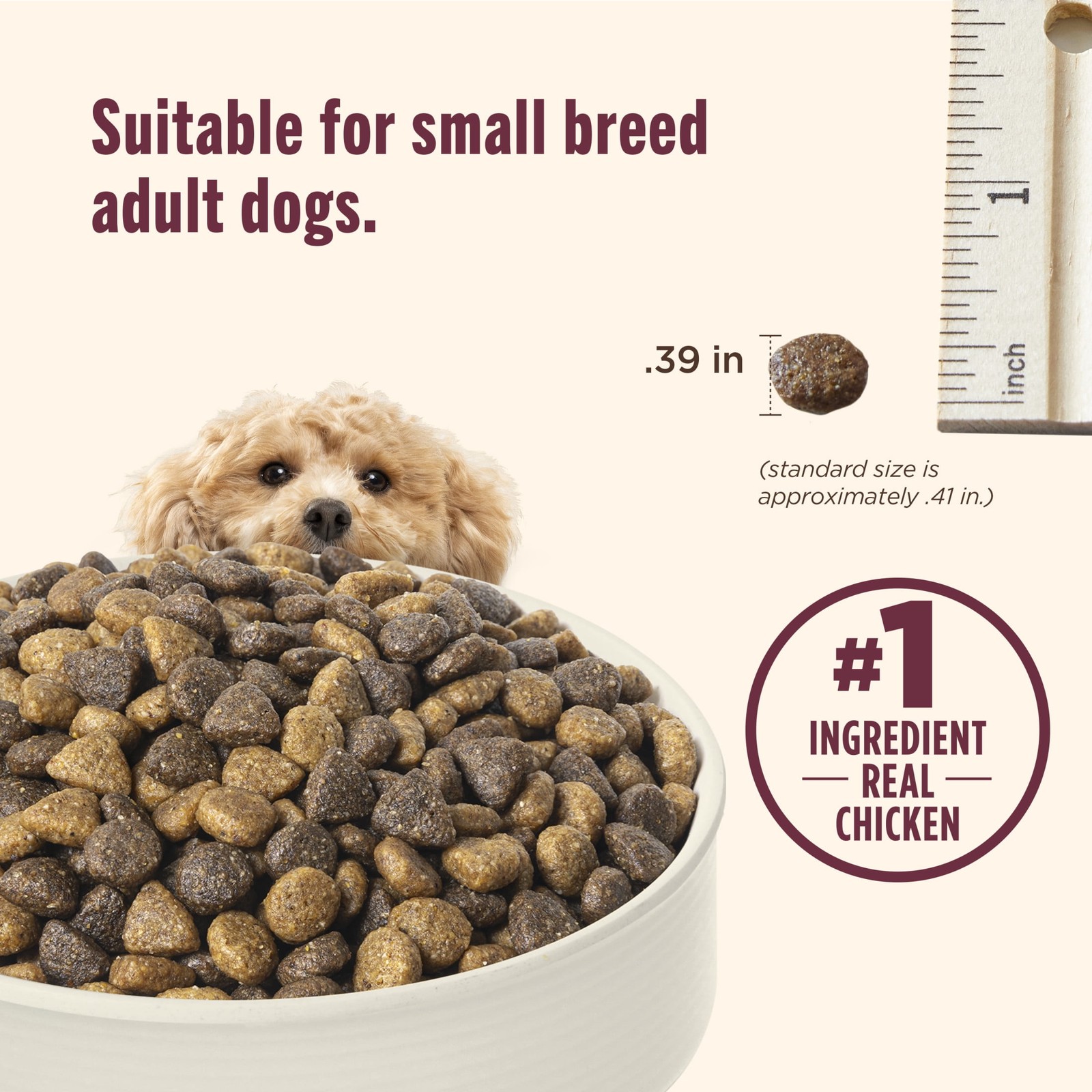 Nutrish Small Breed Real Chicken &Veggies Recipe Whole Health Blend Dry Dog Food