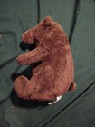 KHOL’S Cares 10” Grizzly Bear A Perfect Day — photo 2