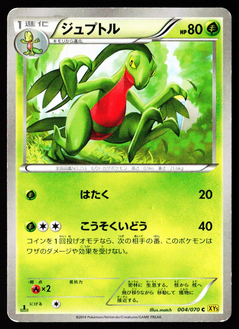 Grovyle 004/070 Common Gaia Volcano Pokemon Japanese Heavily Played