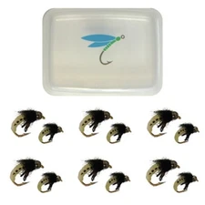 BH Wax Worm - 12 Pc Set w/ Case Size #12 and 10 Grub Fly Fishing Flies for Trout