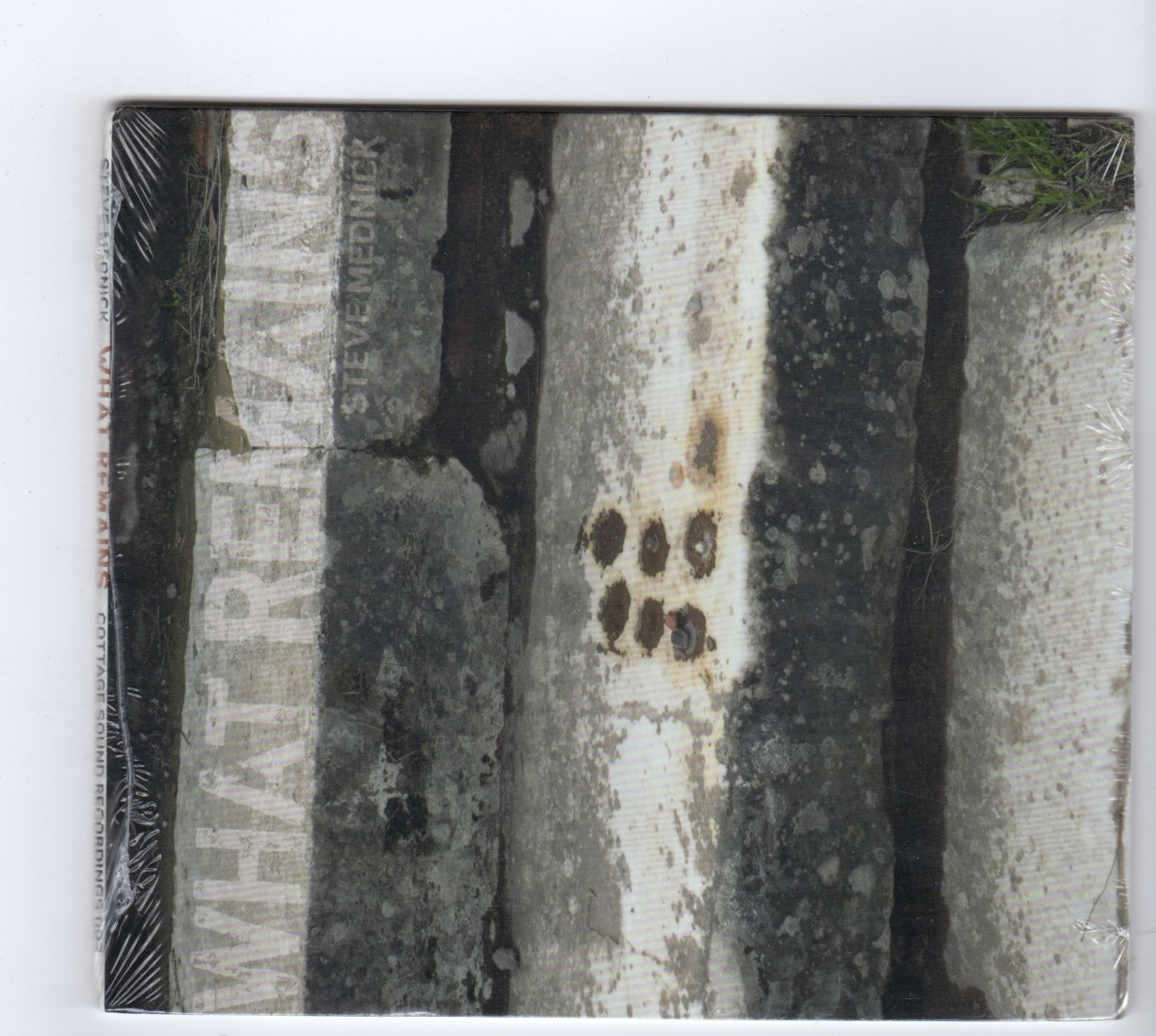 (HW880) Steve Mednick, What Remains - 2010 sealed CD