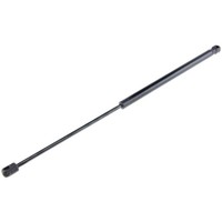NTY Gasfeder Heckklappe Passend FüR Fiat Seicento/600 187_ 1.1 0.9 Cinquecento