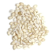 160PCS Cowrie Shells Charms, Natural Smooth Oval Seashells Pendants, Conch
