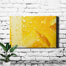 Grapefruit Citrus Splash Canvas Print Still Life Slices with Bokeh Glow