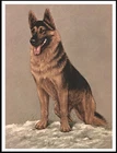GERMAN SHEPHERD LOVELY DOG ART PRINT POSTER