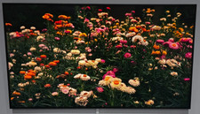 SAMSUNG QE55LS03D 55" 4K QLED THE FRAME SMART TV