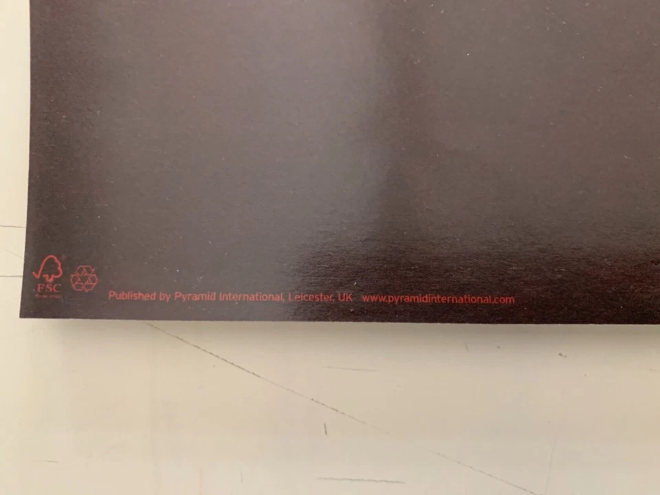  FERRARI, AUTHENTIC LICENSED 2009 POSTER - Image 3 of 4