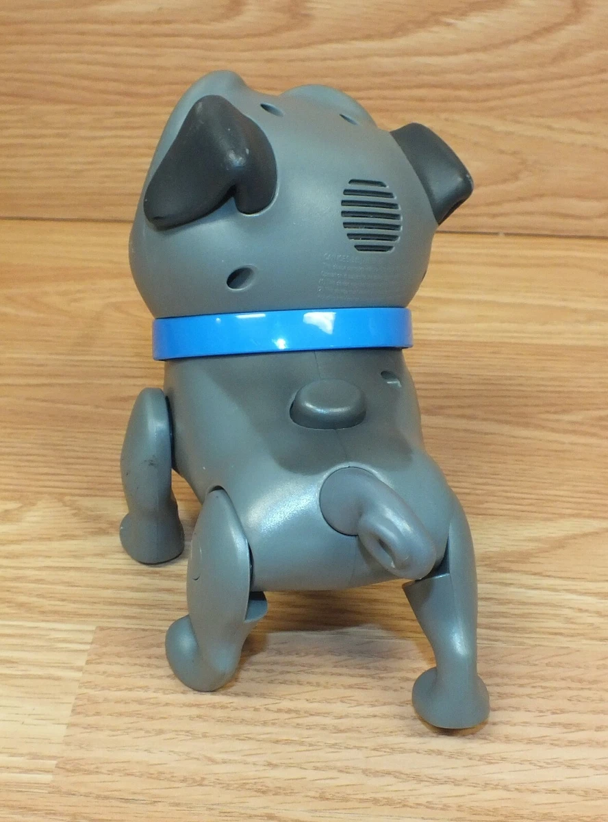 Puppy dog pals walking bingo sale