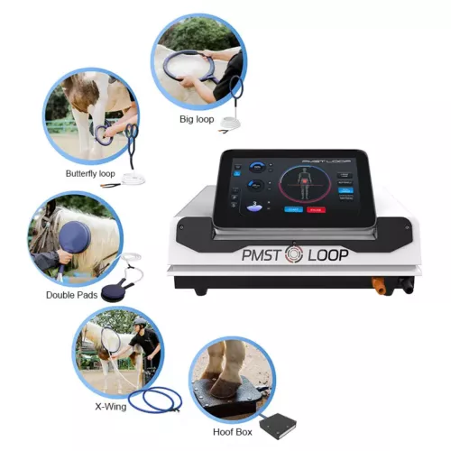 Human Animal PMST Loop Magna Wave PEMF For Low Back Pain EMTT Therapy Machine - Picture 4 of 15