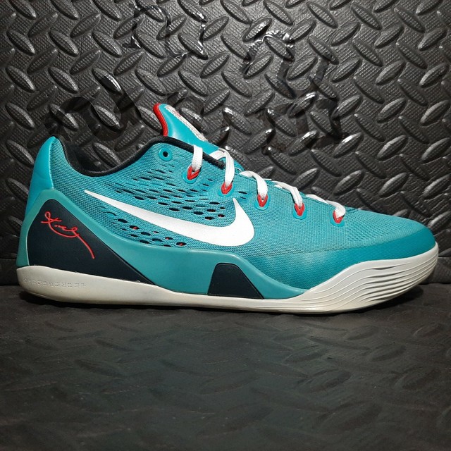 kobe 9 cactus