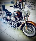 2008 Harley Davidson Softail Deluxe FLSTN 105 Anniversary Edition