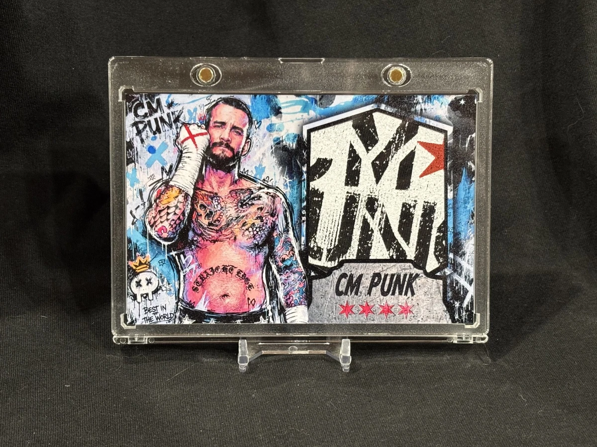 CM Punk WWE Wrestling Original Autographed Items for sale | eBay