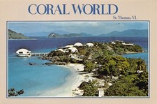 Vtg Postcard 6x4 St Thomas Caribbean Island Coral World Exotic Fish Postcard L1