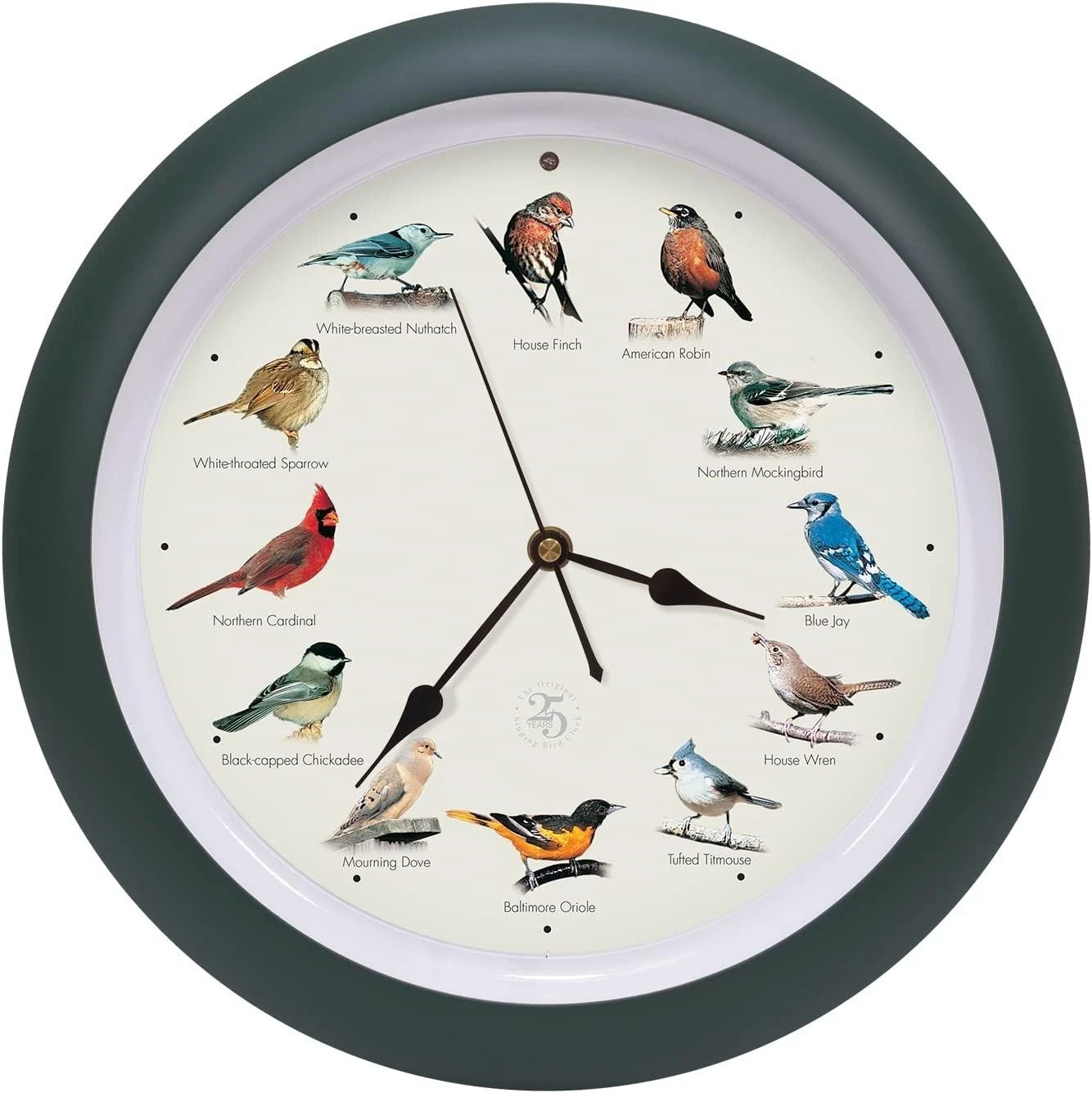 The Original Singing Bird Hanging Wall Sound Clock, 8 Inch, Green