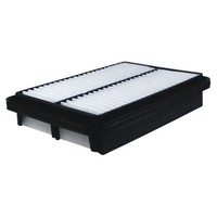 Filtron Luftfilter Filtereinsatz FüR Hyundai Santa Fé I 2.0 Crdi 4X4 2.7 V6