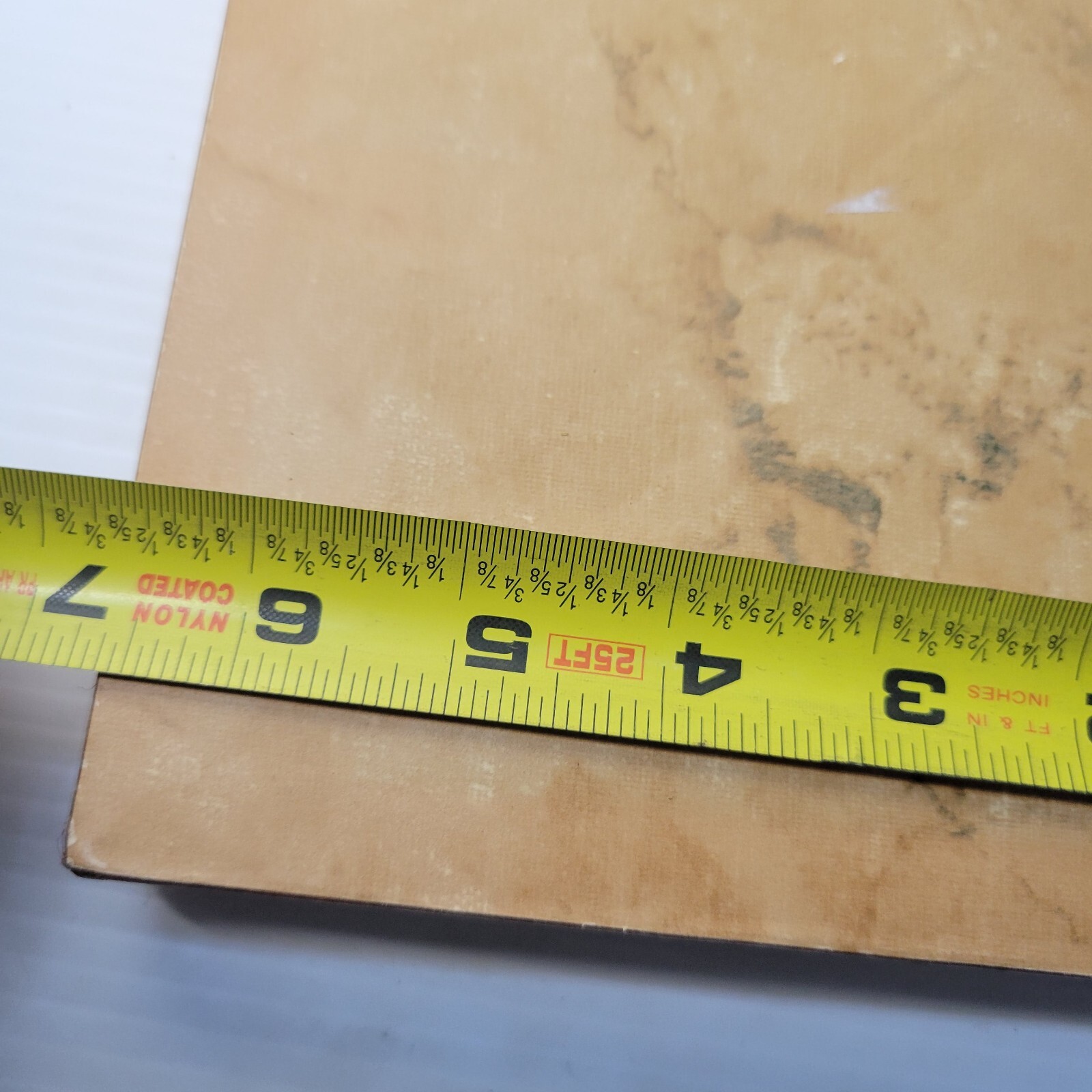 Painting Bird Tropical Parrot Oil on Canvas Framed Old Vintage Art