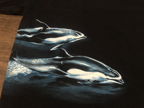Vancouver Canada Aquirium Swimming Dolphins Medium Black T Shirt - Picture 3 of 8