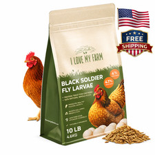 Black Soldier Fly Larvae for Chickens 10 lb  High Protein Poultry Treat BSF