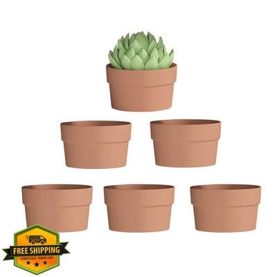 Fcacti 6'' 6pk Shallow Terracotta Succulent Pots