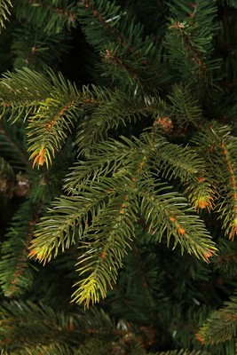 Black Box Trees Frasier Künstlicher Weihnachtsbaum - H185 x Ø124 cm - Grün