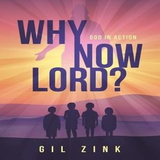 Why Now Lord? God in Action Gil Zink Paperback Author Solutions I