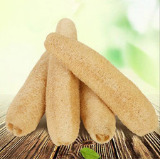 Whole Egyptian Loofah 100 Natural SPA Bath Body Scrubber Sponge Exfoliating