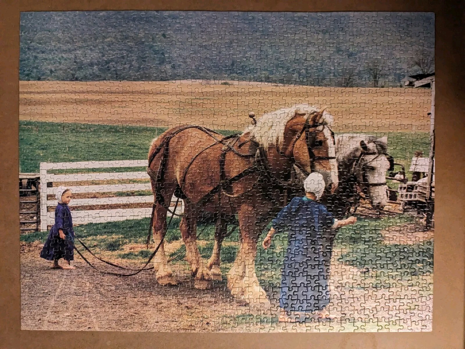 Picture 3 of 6