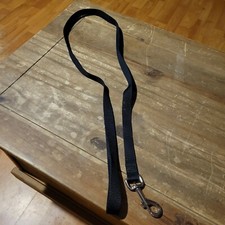 Dog leash, nylon, 1inx4ft