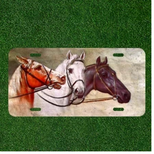 Custom Personalized License Plate Auto Tag With Three Colored Horses Design