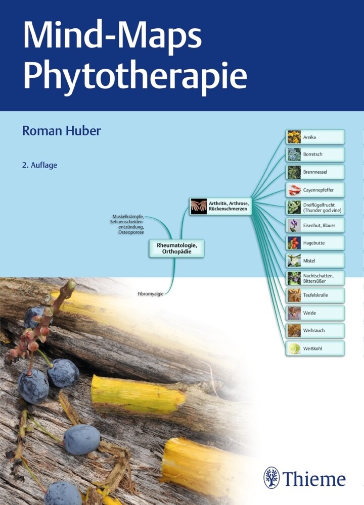 Thumbnail - Mind-maps Phytotherapie Von Roman Huber