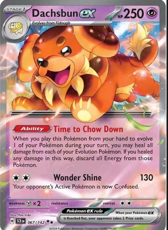 Dachsbun ex 067/142 - Stellar Crown - NM