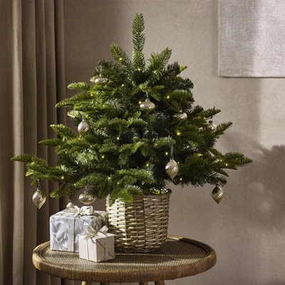 3ft Pre-Lit Christmas Tree The White Company Festive Compact Xmas Decoration