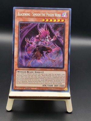 (2 Card Minimum) - 25th Anniversary Rarity Collection: RA01 - 15% off 4 or more!