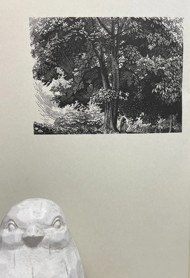 Charlotte, Emily + Anne Brontë The Complete Novels- Illustrated - Folio Society Foto 4 de 4