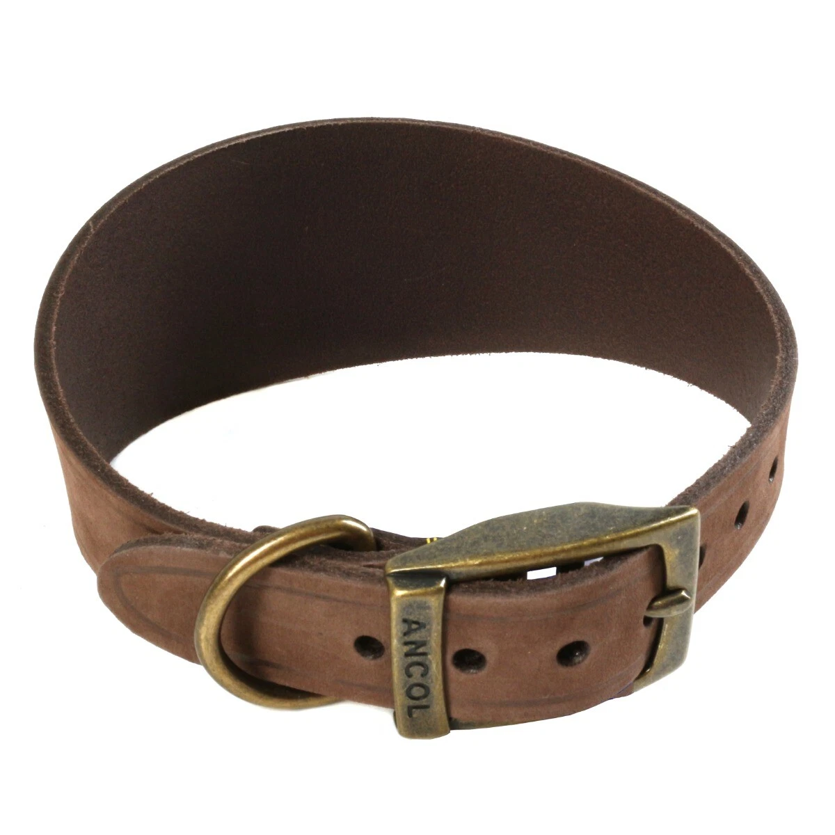 PREMIUM ANCOL TIMBERWOLF GREYHOUND COLLAR Wide Adjustable Lurcher Breed UK  MADE | eBay