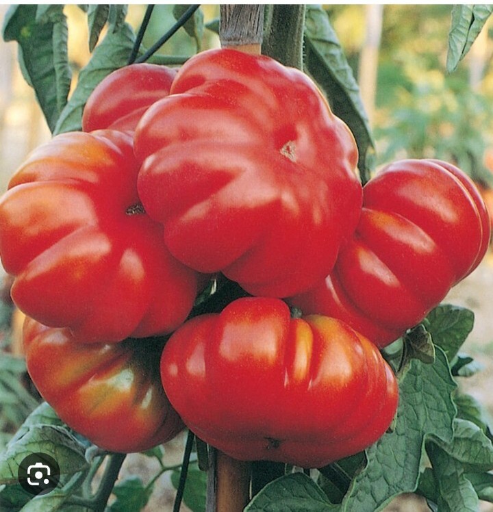 Foto 1 di 6