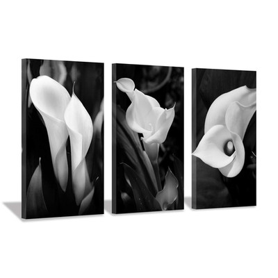 Hardy Gallery Floral Artwork Nature Flower Picture Calla-Lily Print On Canvas