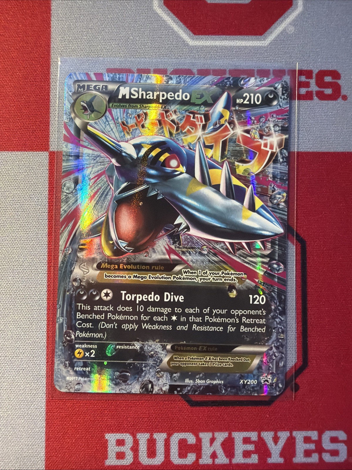 M Sharpedo EX XY200 Holo NM/LP