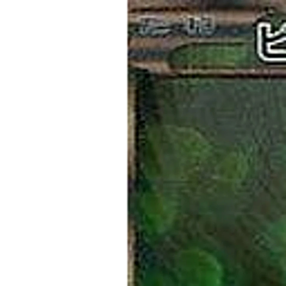 Pokemon Virizion Holo SR 067/066 BW2 Red Collection Japanese Card - Image 2 of 4