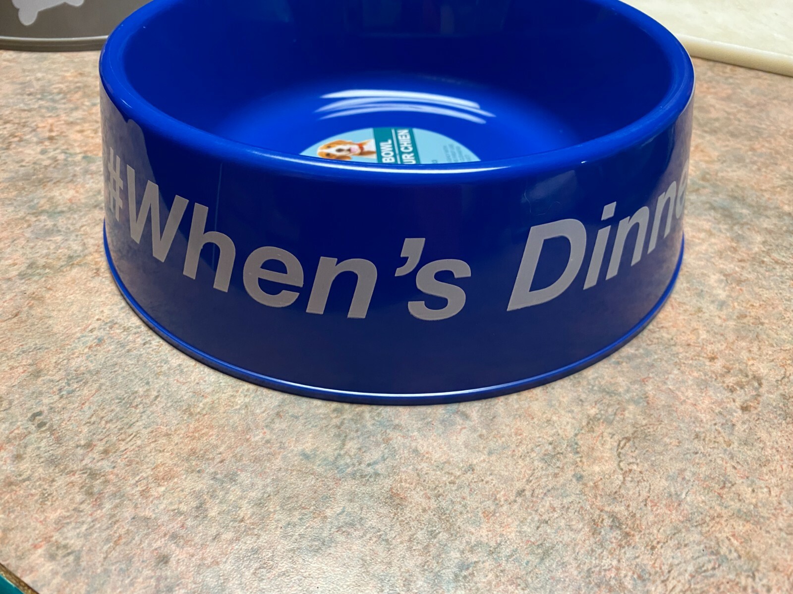 Bowl Water Dish Round Graphics Bone Large 8" Plastic Blue 48 Oz.