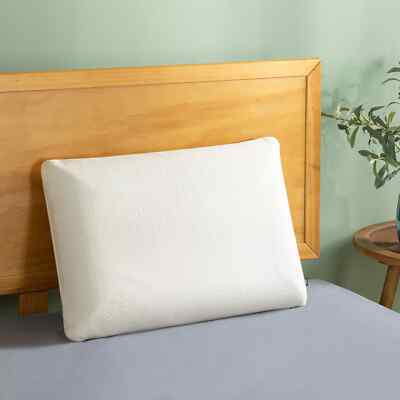 Zinus Night Therapy Green Tea Memory Foam Pillow With Tencel Cover