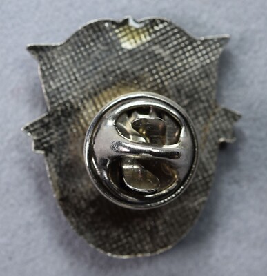 PICCOLO BREVETTO MILITARE Distintivo Paracadutisti Piccola Spilla Para - Foto 2