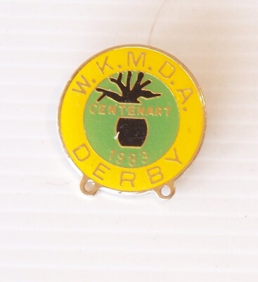 Silver Enamel Custom Lapel Pin Badge at Rs 90/piece in New Delhi | ID